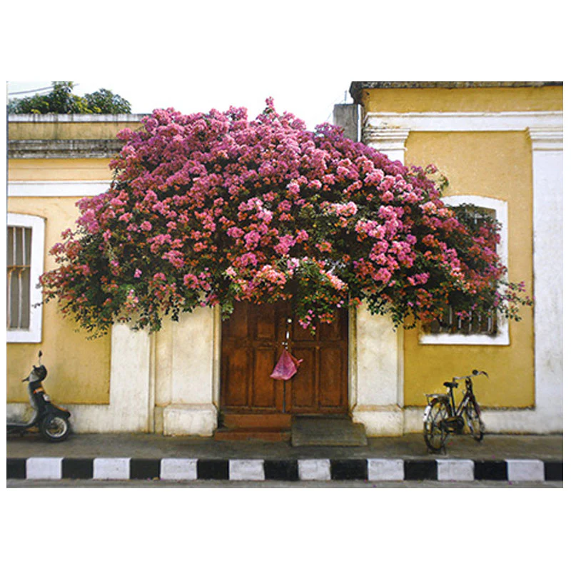 Postcards 16:9 (Set of 10)