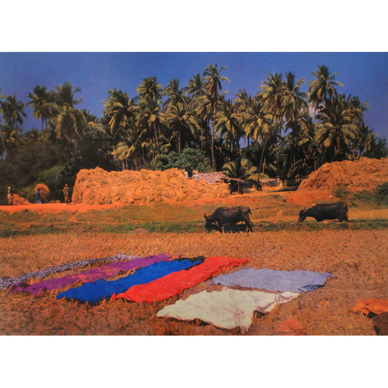 Postcards 16:9 (Set of 10) - Image 4