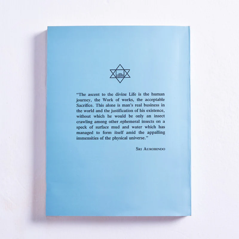 A Divine Life Manifesto - Image 2