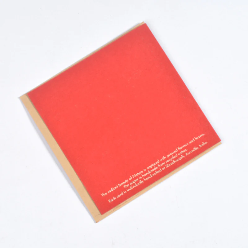 Amore Care Red Greeting Card - Image 2