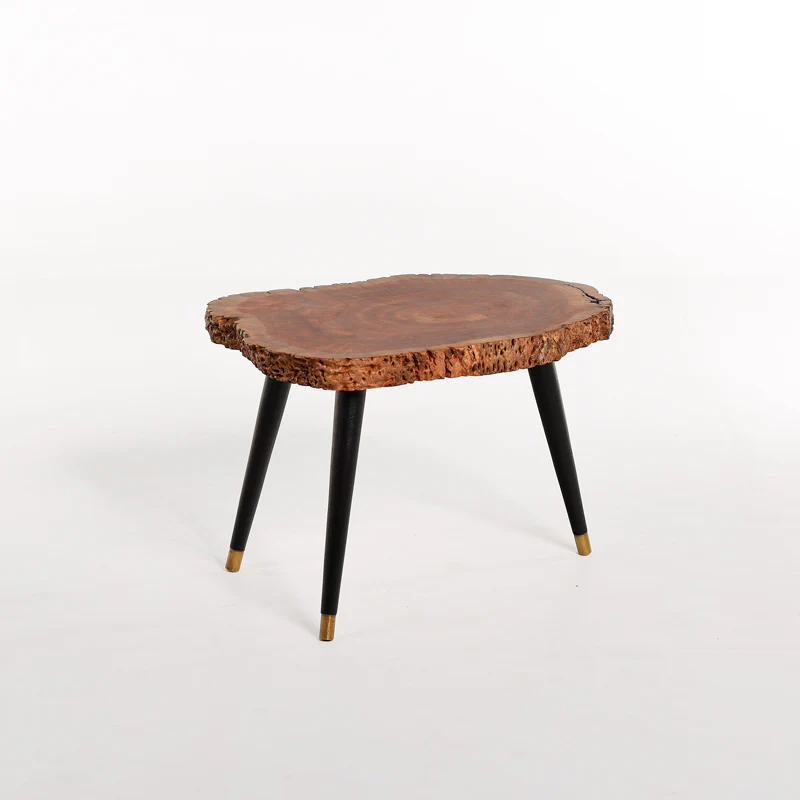 Bi Fold (Conversation Series)-Combo - Image 4