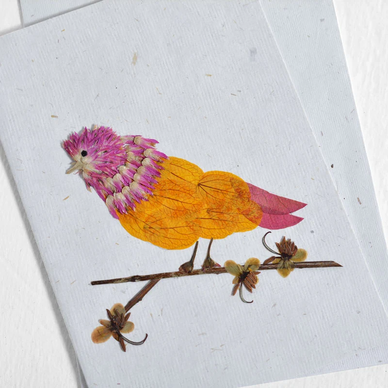 Bird Cards Collection - Image 2