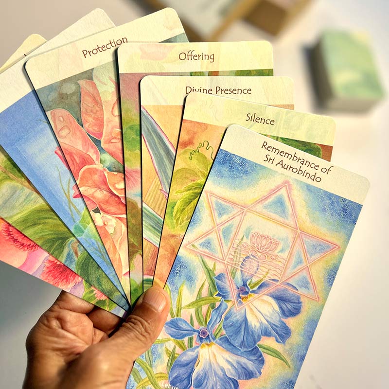 BloomO! The Flower Card Game - Image 7