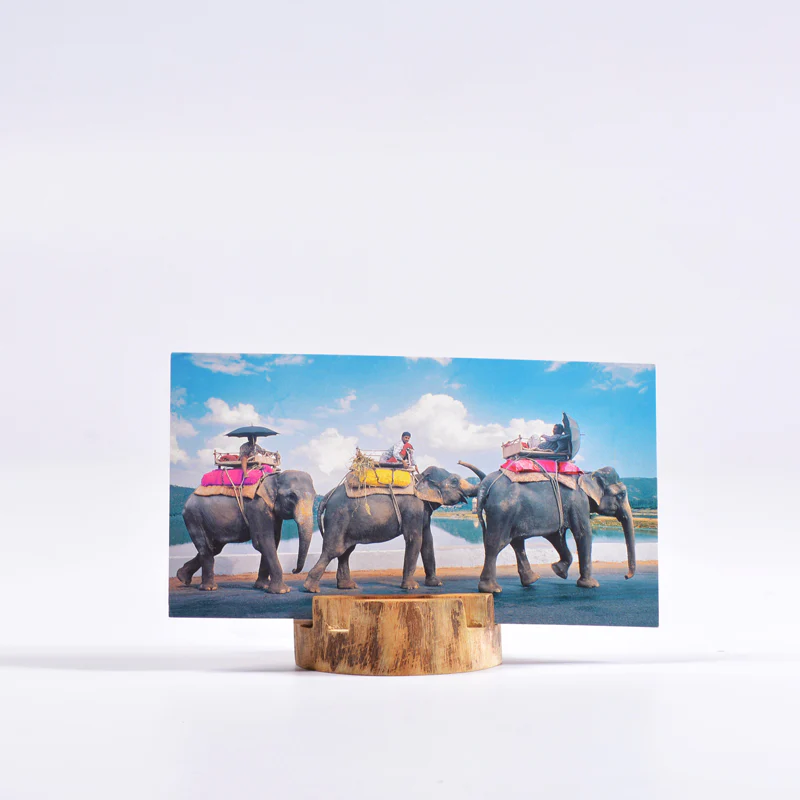 Card Holder - Image 4