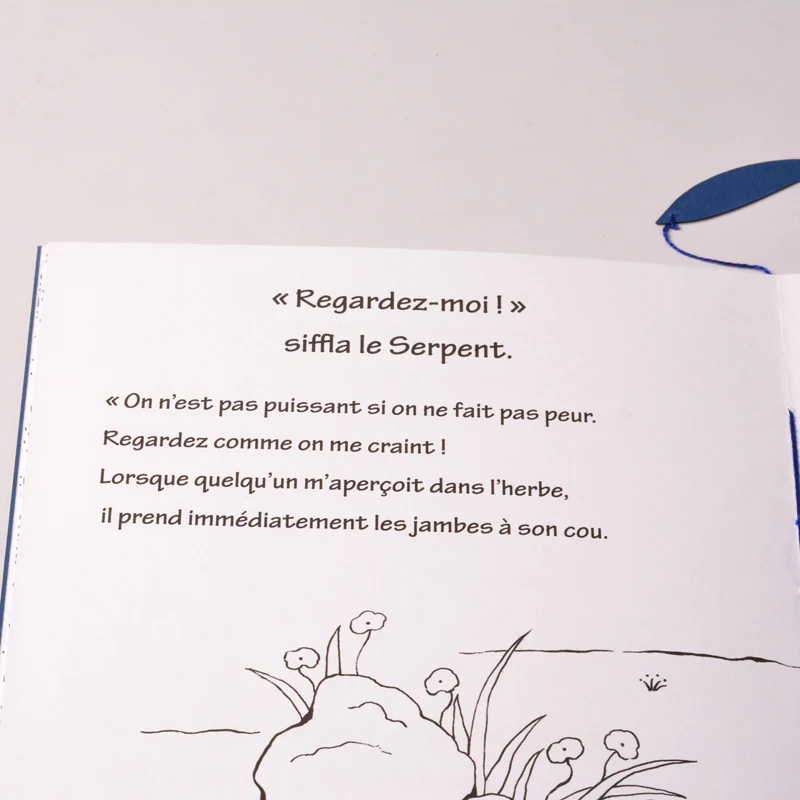 Ce que l'Eucalyptus disait à l'eucalyptus - Image 4