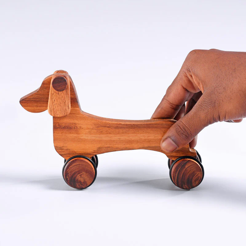 Dog Dachshund - Image 2