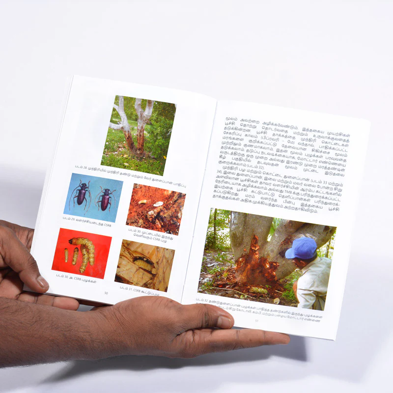 Hand Book on Organic Cashew Cultivation - Image 3