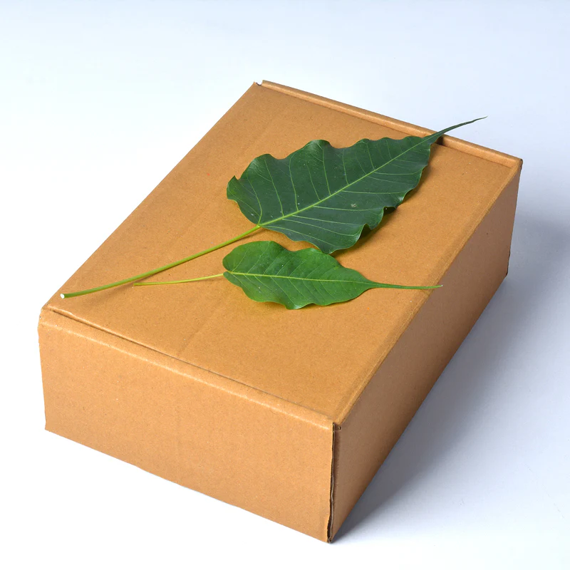 Handmade Coconut Shell Gift Hamper – With Candle - Image 4
