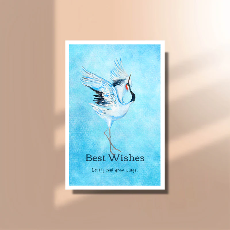 Rectangular Postcards - Image 9