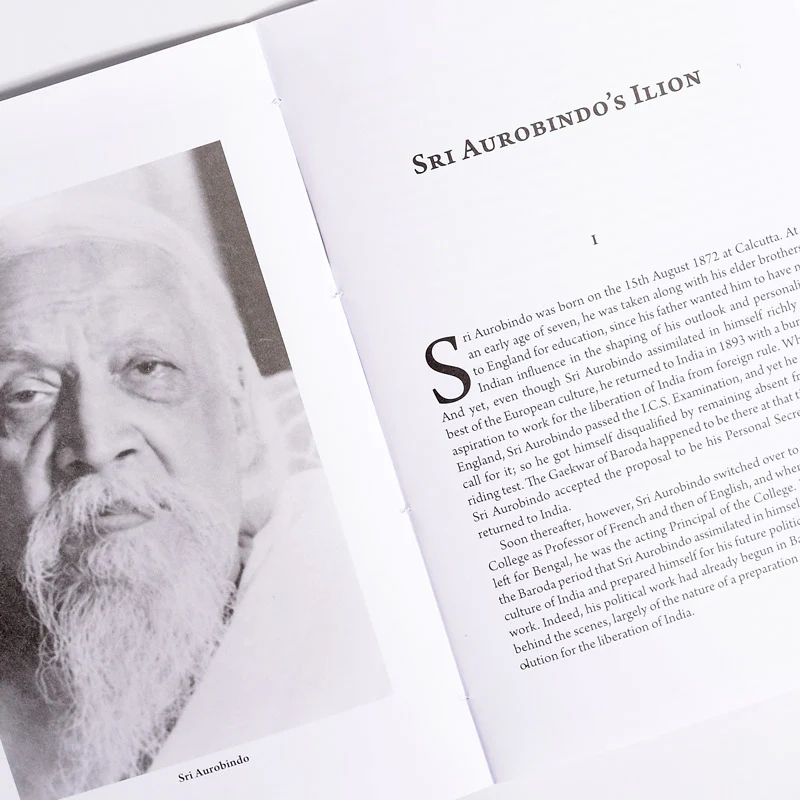 Sri Aurobindo's Ilion - Image 3