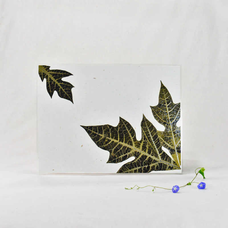 Table mat - Carica Papaya (Set of 6)