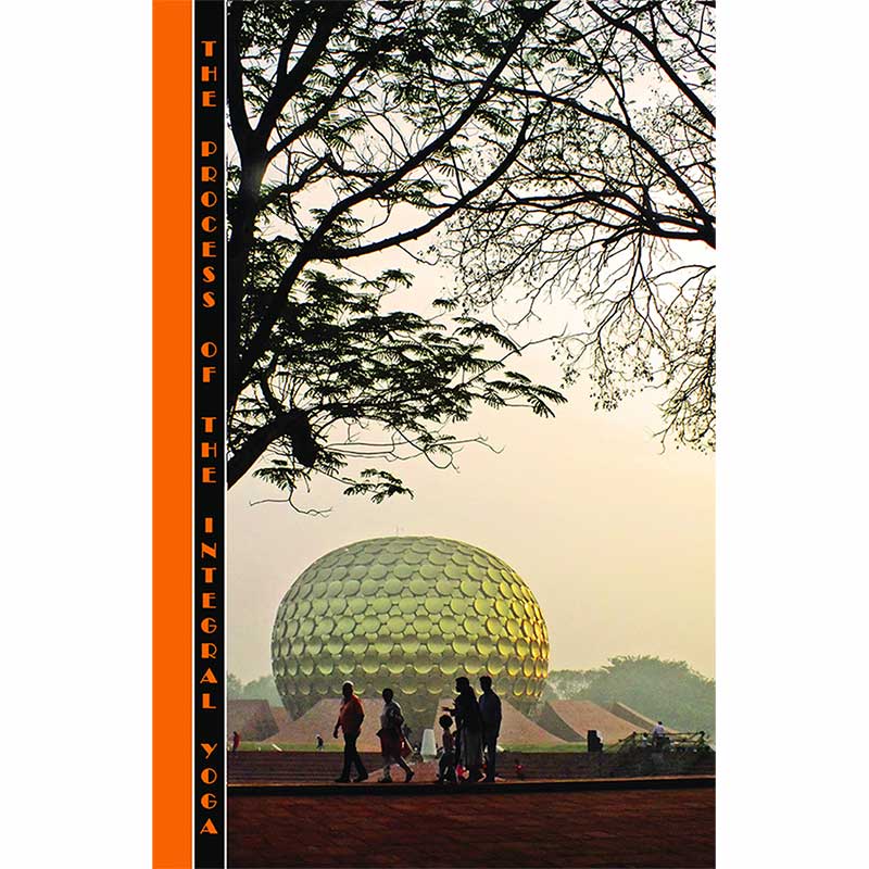 The Process of the Integral Yoga by Paulette Hadnagy
