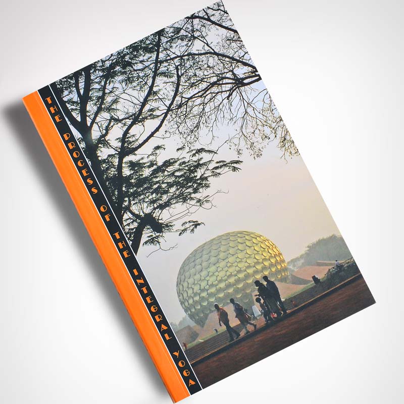 The Process of the Integral Yoga by Paulette Hadnagy - Image 2
