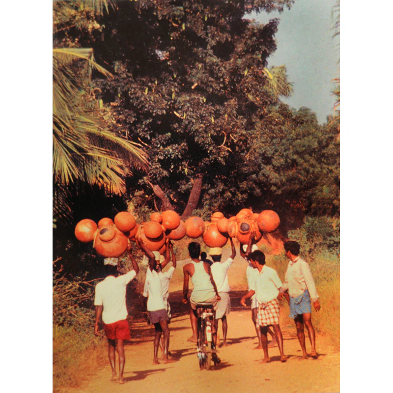 Together, we're strong (Set of 10) - Image 10