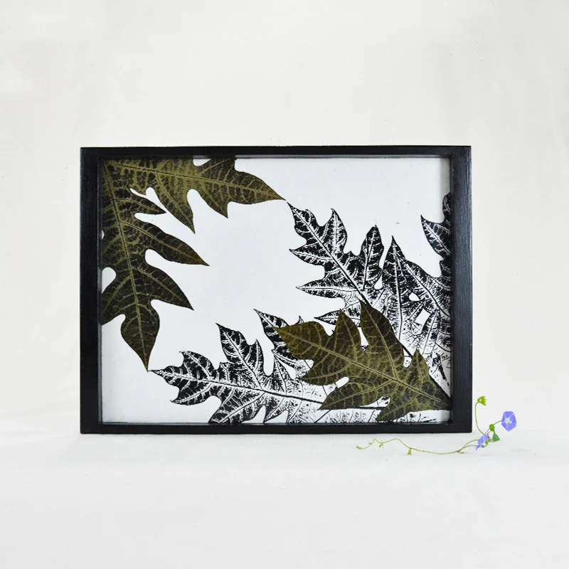 Tray- Carica Papaya - Image 3