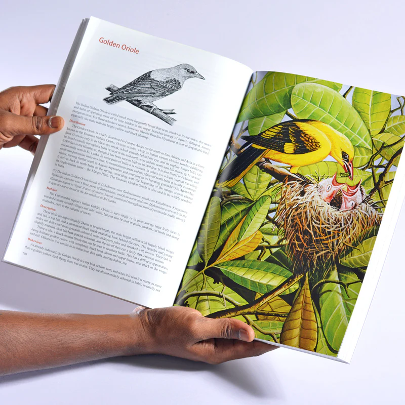 Wildlife Great and Small of India’s Coromandel - Image 2